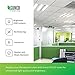 Sunco 10 Pack T8 LED Bulbs 4 Foot, Tube Light Bulbs Ballast Bypass, 48 Inch Fluorescent Replacement, 2200 LM, 18W, 5000K Daylight, Single Ended Power, Type B, Clear Lens UL