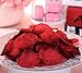 NewCool 3000 Pcs Dark Red Silk Rose Petals Artificial Flowers Decorations, Wedding Party Vase Home Decor Bridal Petals Rose Flower Favors Decoration