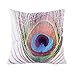JML Couch Peacock Throw Pillow Case, Micro Fleece Decorative Pillow Cover 18