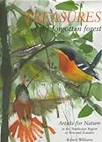 Treasures of the Forgotten Forest: Artists for Nature in Peru and Ecuador by 