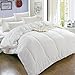 CAIMOUR All-Season Comforter