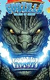 Godzilla: Rulers of Earth by Chris Mowry, Matt Frank