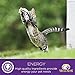 Wellness Complete Health Pate Cat Food Variety Bundle 5 Ounce - 3 Flavors (12 cans)