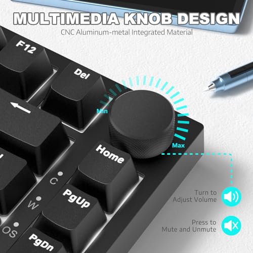 ATTACK SHARK Ajazz AK820 Mechanical Keyboard with with CNC Knob Control,75% Gasket Mount Keyboard and Detachable USB Wired Gaming Keyboard for Wind/Mac,White Light,NKRO,Blue Clicky Switch(Black)