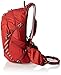 Osprey Escapist 25 Daypacks, Cayenne Red, Small/Medium