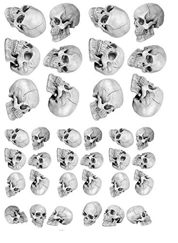 Skull Mania - 20354 - Ceramic Decal - Enamel Decal - Glass Decal - Waterslide Decal - 3 Different Size Sheet (Images) to Choose from. Choose Either Ceramic (Enamel) or Glass Fusing Decals