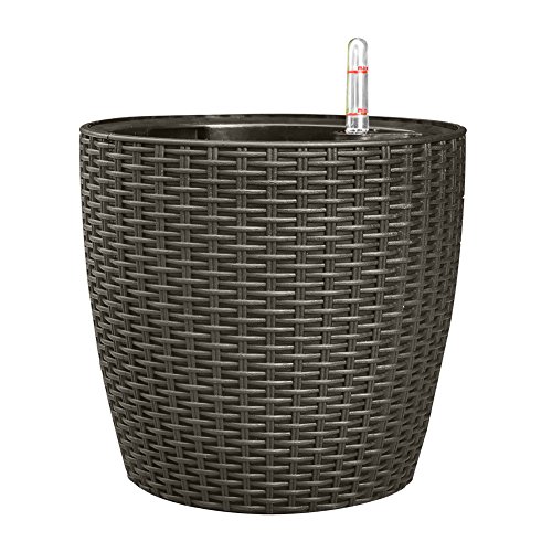 Top 10 Best Frost Protection Spray For Plants Top Reviews No Place