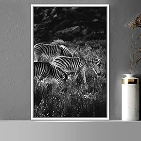 signwin Framed Canvas Wall Art Duotone Zebra Animals...