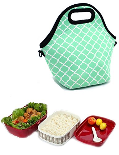 Orchidtent Neoprene Water Resistant Portable Lunch Bag Carry Case Tote with Zipper Strap Box Cooler  - //coolthings.us