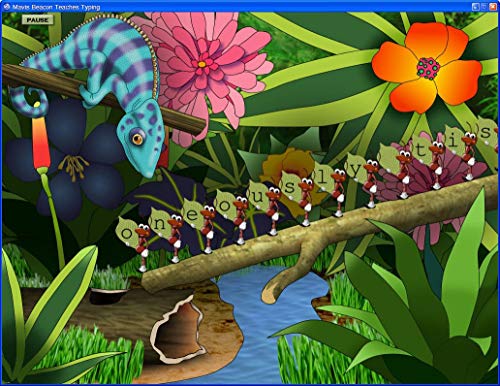 Mavis Beacon Teaches Typing Platinum 20 [PC Download] - Thumbnail 2