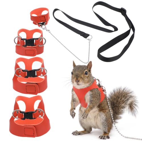 YUXMU Rat Harness and Leash Set
