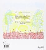 Image de ¿Qué se esconde dentro del bosque? (Spanish Edition)