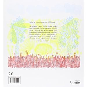 ¿Qué se esconde dentro del bosque? (Spanish Edition)