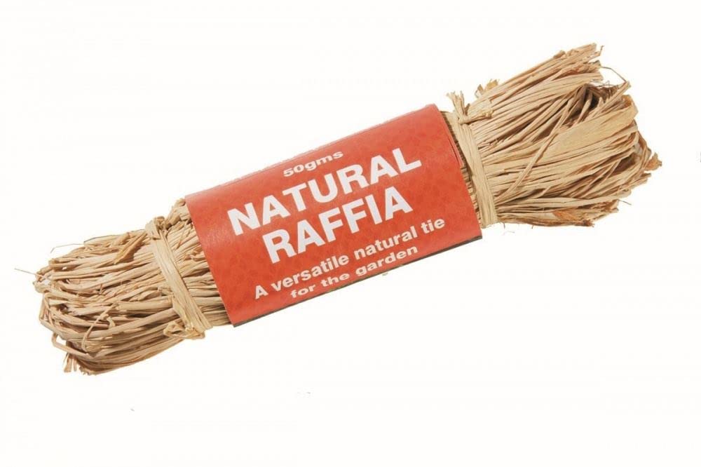 Raffia - Natural - 50g W0574