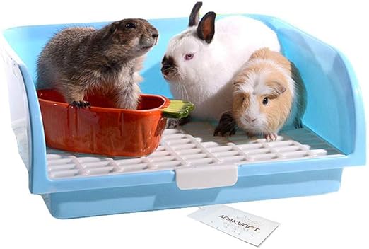 Amazon Com Pet Small Rat Large Toilet Square Oversize Potty Trainer Corner Litter Bedding Box Pet Pan For Small Animal Large Rabbit Guinea Pig Galesaur Ferre Color Random Pet Supplies