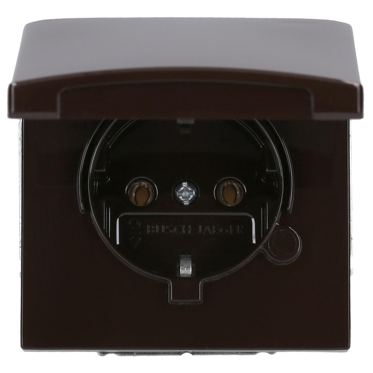 Busch-Jaeger Steckdose with hinged lid, 20EUGK 31 White