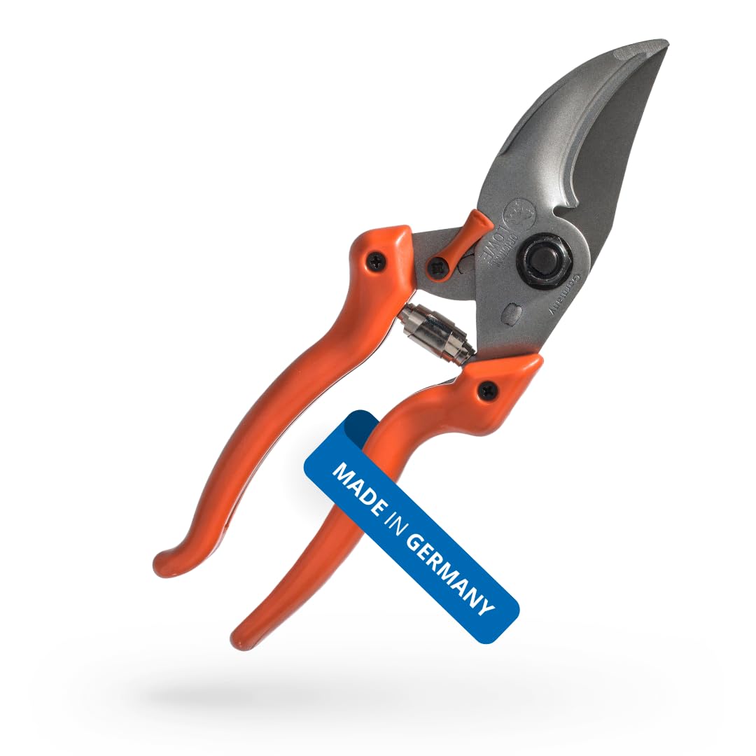 Loewe 9104 9.104 Bypass Scissors, for Big Hands