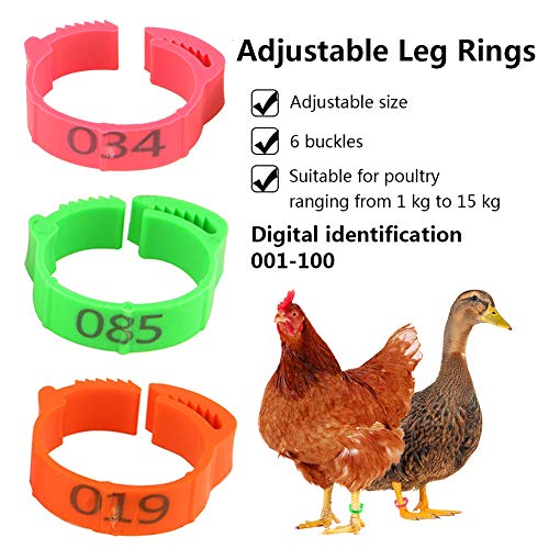 Shunfaji 100 Stück Poultry Beinringe, Klemmringe Verstellbarer Hühner-FuÃring, Ring zur Kennzeichnung von Geflügel mit Clips für Farm & Ranch Ringe (Grün) – Bild 3