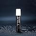 Nitecore LA10 135 Lumen Dedicated Magnetic Base Camping Light with EdisonBright USB Powered Reading Light