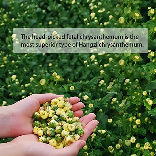 Yan Hou Tang Chrysanthemum Tea Dried Loose Leaf Chinese Herbal Bud Flower Tea Pure Nature 菊花茶 4 Oz 112g