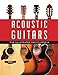 Acoustic Guitars: The Illustrated Encyclopedia