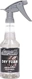 LANE'S Carpet Cleaner Spray- Carpet Cleaner Foam, Removes Odor, Fights Tough Dirt and Stains, Professional Grade Cleaning Spray E-209-16 ounces