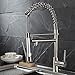 Fapully Contemporary Spring Single Handle Kitchen Sink Faucet with Pull Down Sprayer, Brushed Nickel
