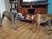 TufToys Dog Toy for Small, Medium and Large Dogs. Big Blue 14