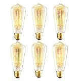 Vintage Edison Bulbs, 40W ST64 Dimmable Light Bulbs, Squirrel Cage Filament with 2700K Soft Warm White Light, 230 Lumens, Retro Light Bulbs with E26 Brass Base, Pack of 6