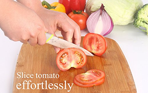 Kitchen Knife and Scissors Set by WELLSTAR, Heavy Duty Multi-Purpose Food Shears and Ultra Sharp Utility Knife with Safety Blade Cover, 3pc Food Grade Stainless Steel Cutlery Peeler Set - Thumbnail 5