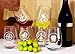 SET OF 6 -Stemless Wine Glasses-Nautical Themed, Resturant Quility Plastic, 14oz, Best Shatter Proof Drinking Glass for Wine, Cocktails or gifts