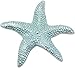 Mariposa Starfish Napkin Weight, Aqua
