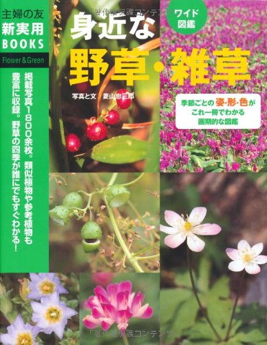 ワイド図鑑 身近な野草 雑草 季節ごとの姿 形 色がこれ一冊でわかる画期的な図鑑 主婦の友新実用books 菱山 忠三郎 本 通販 Amazon