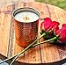 EASTWESTBOTTLER Bluegrass Candle
