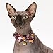 Necoichi Kimono Bow Tie Cat Collar (Purple)