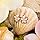 Amazon.com: 14k Rose Gold Plated Sterling Silver CZ Plumeria Hook Earrings, 14mm: Dangle 