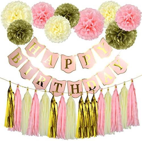 Tissue Paper Poms - Pistha 25 Pcs Party Decorations Baby Shower Supplies with Tissue Pom Poms Tassel Garland
