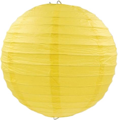 Amazon Com Chie Round Hanging Paper Lantern For Wedding
