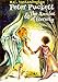 Peter Puckett & The Amulet of Eternity by R.C. VanLandingham