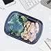 Meal Prep Containers 1 Compartment - Plastic Food Containers for Meal Prepping - Lunch Containers Food Prep Containers - Reusable Food Storage Containers with lids [15 pack]