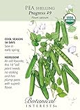 Progress #9 Shelling Pea Seeds - 20 grams - Organic
