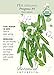 Progress #9 Shelling Pea Seeds - 20 grams - Organic