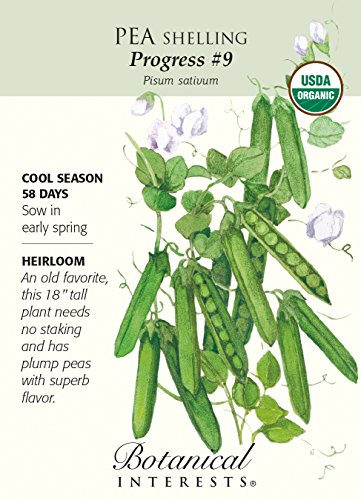 Progress #9 Shelling Pea Seeds - 20 grams - Organic