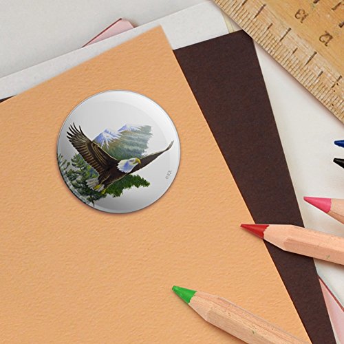 Bald Eagle Flying Over the Mountains Scenic 1.5" Puffy Bubble Dome Scrapbooking Crafting Sticker Set