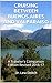 CRUISING BETWEEN BUENOS AIRES AND VALPARAISO: A Traveler's Companion Edition Revised 2016 (Traveler's Companion Series 2)