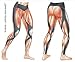 CW-X Women's Mid Rise 3/4 Capri Stabilyx Ventilator Cooling Compression Tights