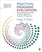 Practical Program Evaluation: Theory-Driven Evaluation and the Integrated Evaluation Perspective