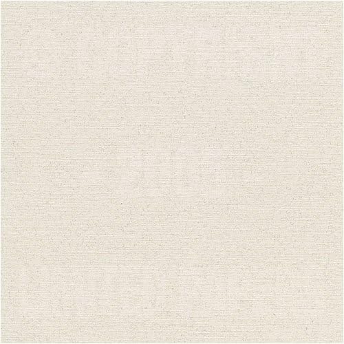 Whitestone 24# #10 Envelope 500/pack