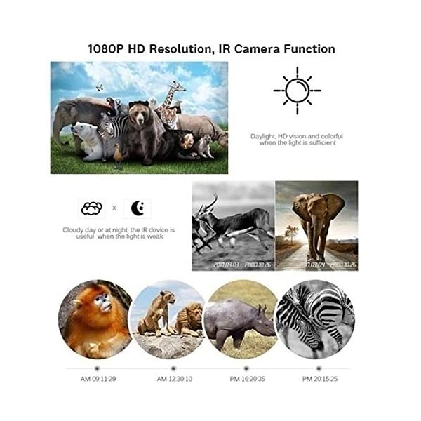 EXCLVEA Wildkamera 12MP 1080p Wildlife-Kamera Mit PIR-Sensor 65ft Infrarot-Nachtsicht-IP56 Wasserdicht für die… – Bild 4