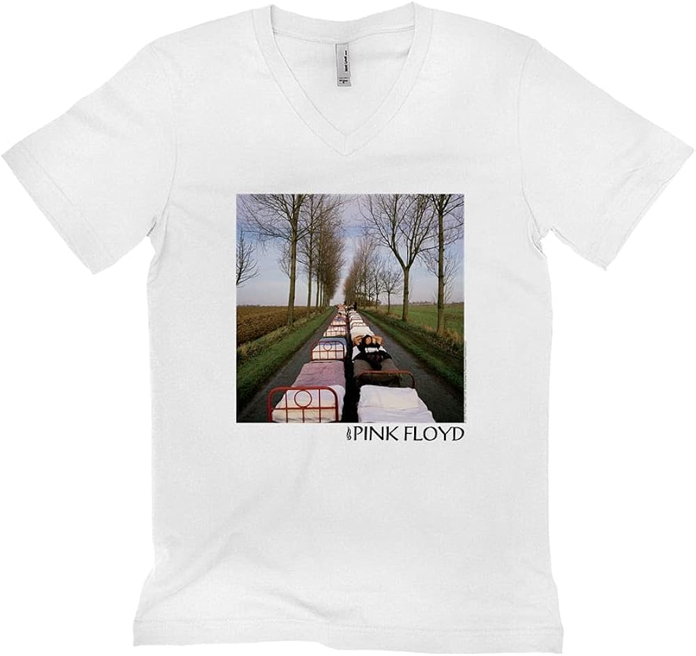 momentary lapse of reason shirt